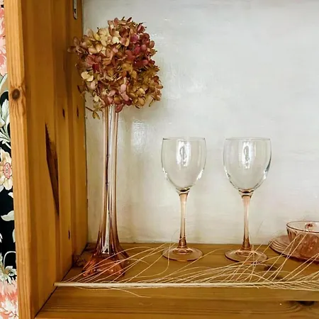 Marijke's Guestroom Bed and breakfast