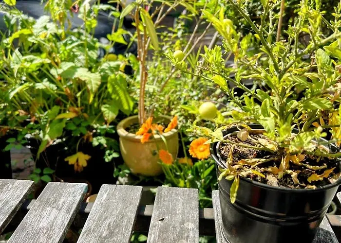 Bed & Breakfast Marijke's Guestroom Amsterdam